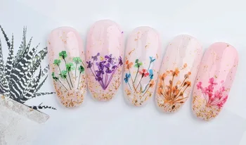 24/36/48/60PCS Prírodných Sušených Kvetov, Nail Art pre Ženy, Dievča DIY Nechtov Vzory 3D Japonský Nail Art Dekorácie Nechtov Dodávky