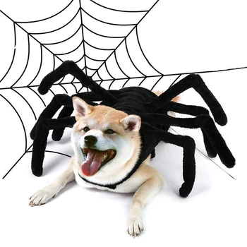 Mačka, Pes Halloween Spider Pet Zdobiť Spider Krídlo Oblečenie Pre Šteňatá Mačky Halloween Pet Mačka Pes Kostýmy Roztomilý Šaty Pet Oblečenie